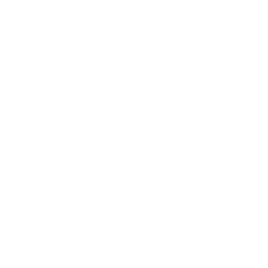 Logo de Ring Boxing Center